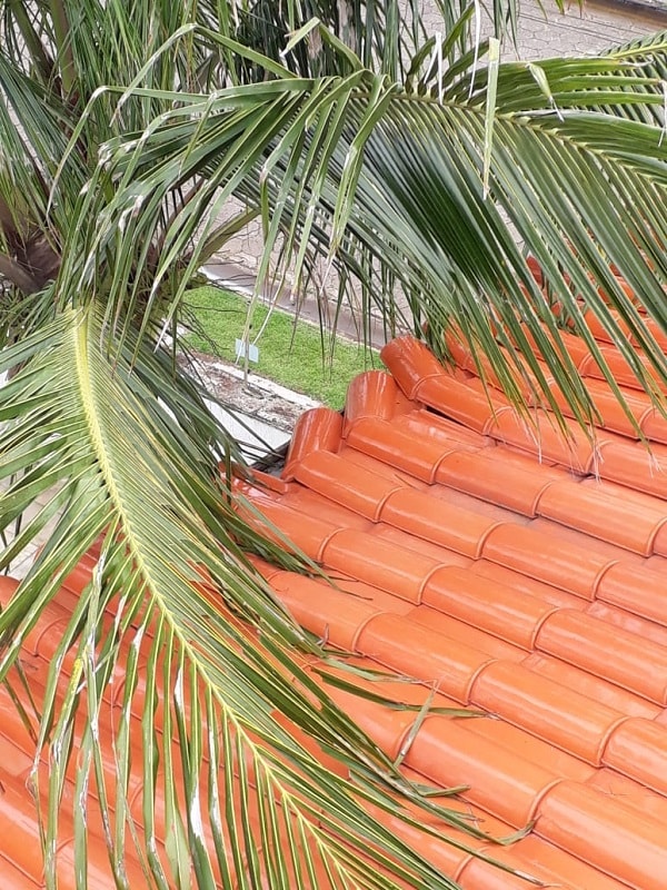 Manutenção de telhado residencial